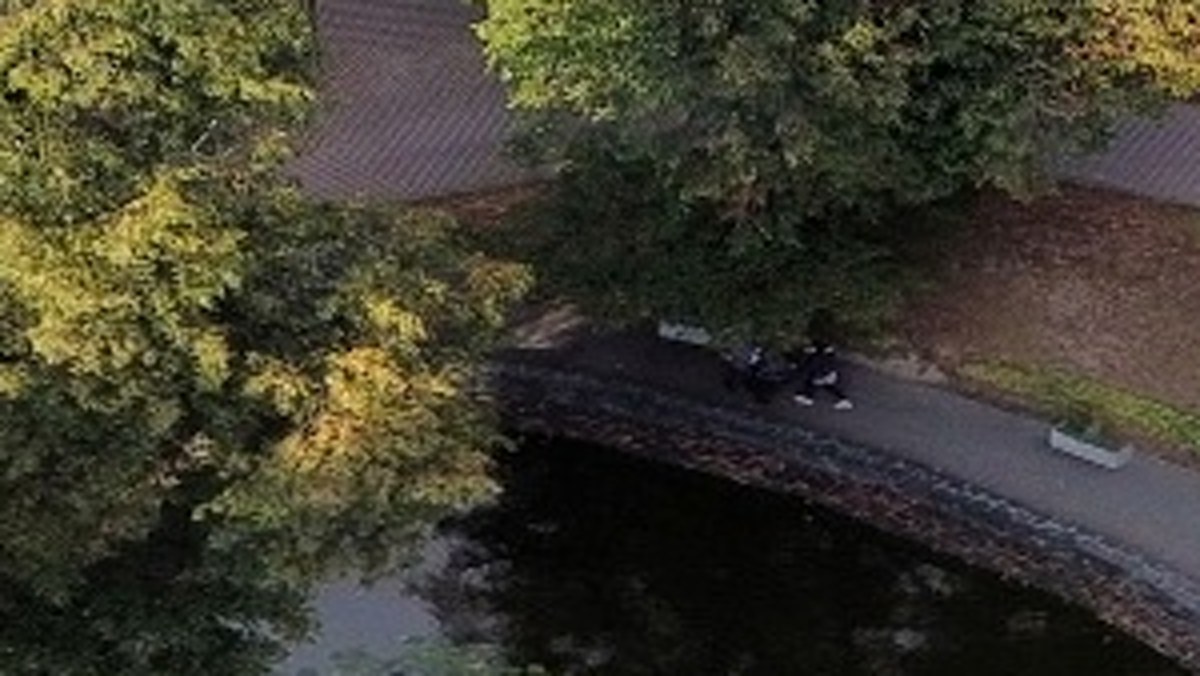 Lakeside path in the DJI Fly panorama, people blurred