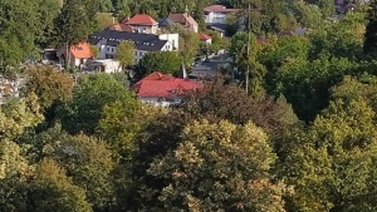 Town and trees in the DJI Fly panorama
